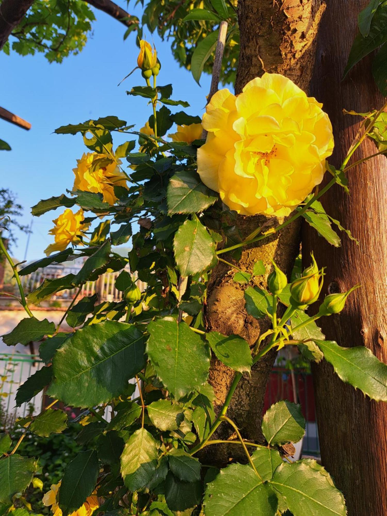 B&B Casa Vacanza Cioffi Vico Equense Ruang foto