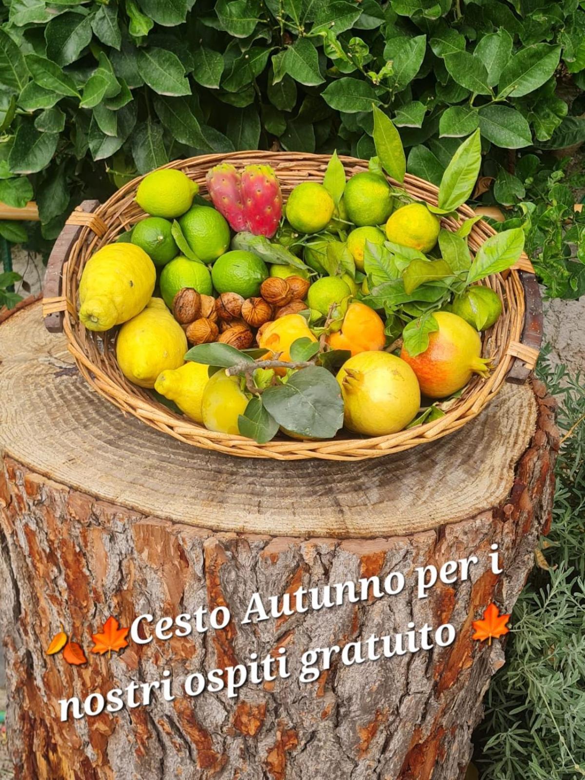 B&B Casa Vacanza Cioffi Vico Equense Bagian luar foto