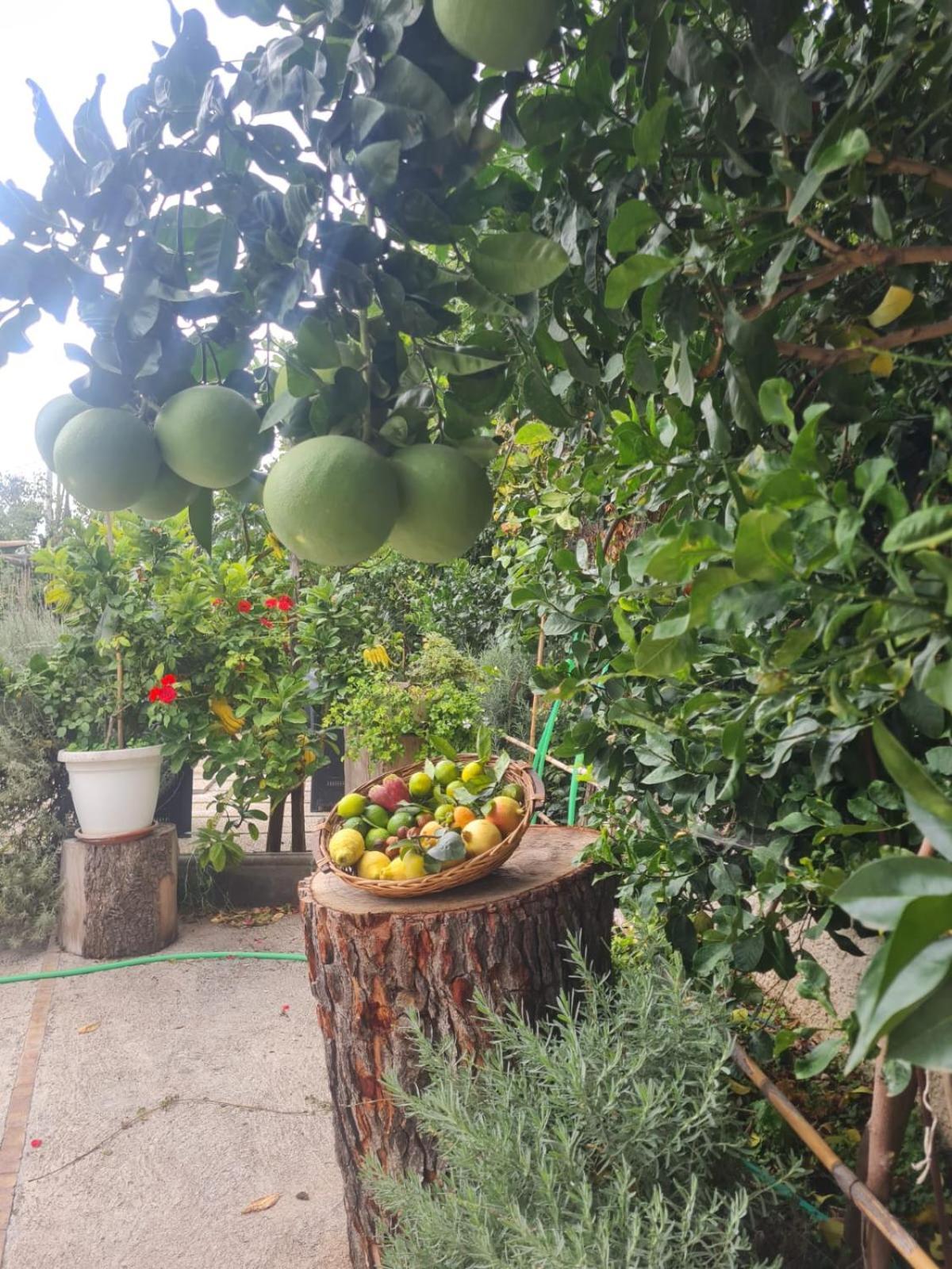 B&B Casa Vacanza Cioffi Vico Equense Bagian luar foto