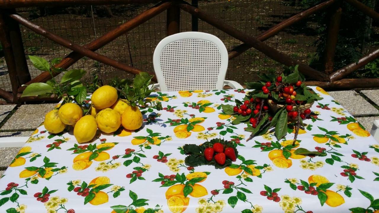 B&B Casa Vacanza Cioffi Vico Equense Bagian luar foto